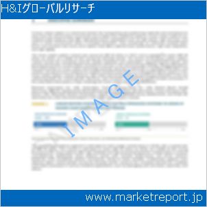 市場と産業調査レポートのイメージ